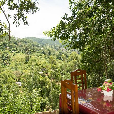 Rose Dale Homestay إيلا المظهر الخارجي الصورة