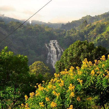 Rose Dale Homestay إيلا المظهر الخارجي الصورة