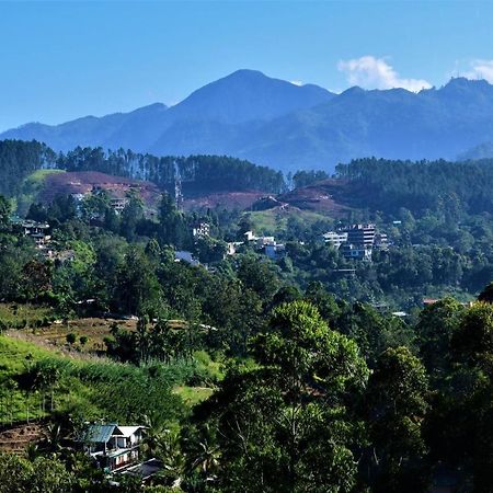 Rose Dale Homestay إيلا المظهر الخارجي الصورة