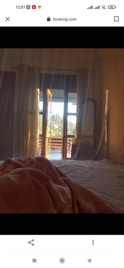 Rose Dale Homestay إيلا المظهر الخارجي الصورة