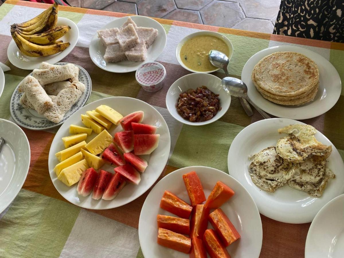 Rose Dale Homestay إيلا المظهر الخارجي الصورة