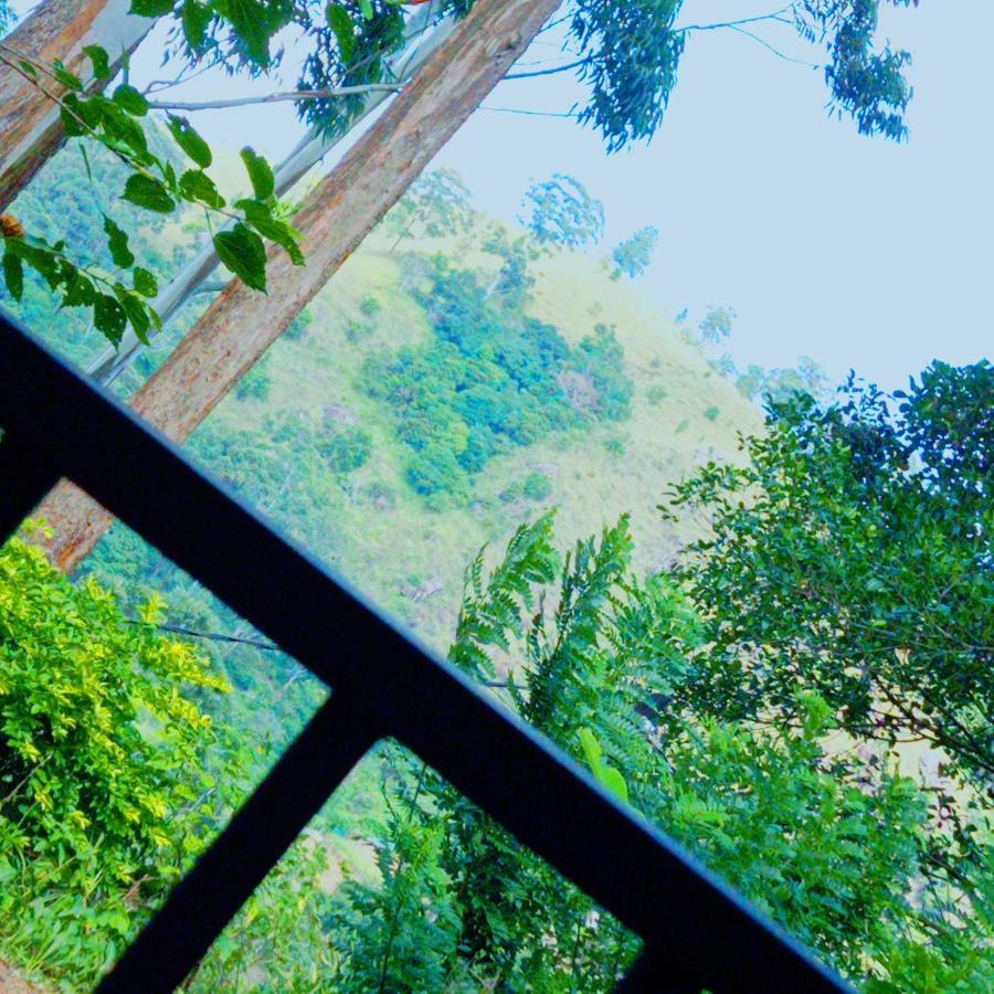 Rose Dale Homestay إيلا المظهر الخارجي الصورة