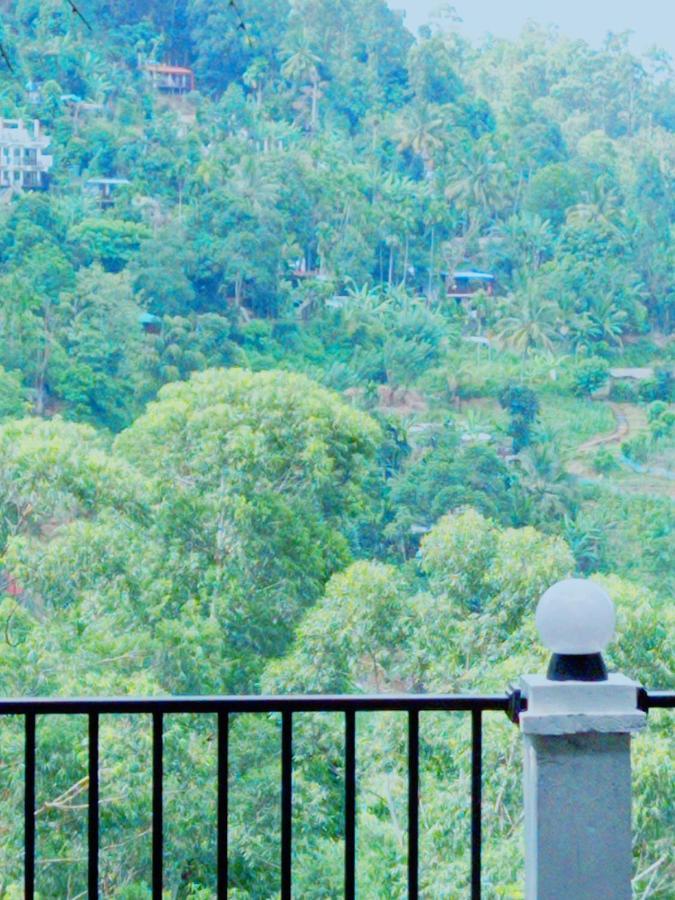 Rose Dale Homestay إيلا المظهر الخارجي الصورة