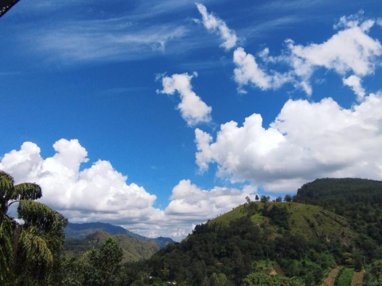Rose Dale Homestay إيلا المظهر الخارجي الصورة