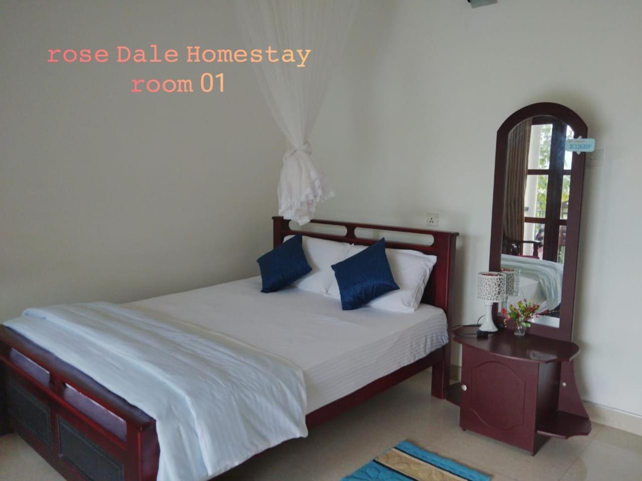 Rose Dale Homestay إيلا المظهر الخارجي الصورة
