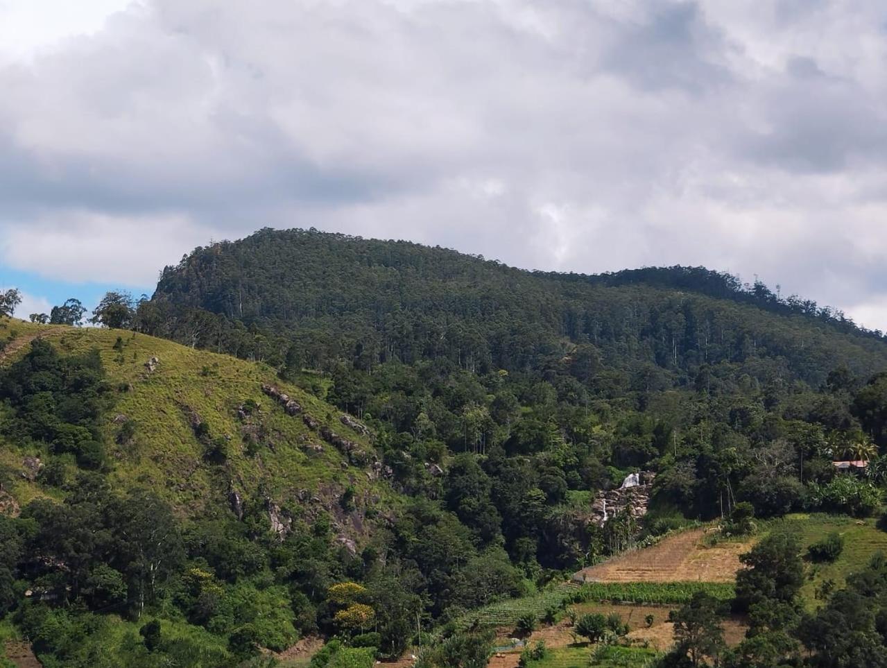 Rose Dale Homestay إيلا المظهر الخارجي الصورة