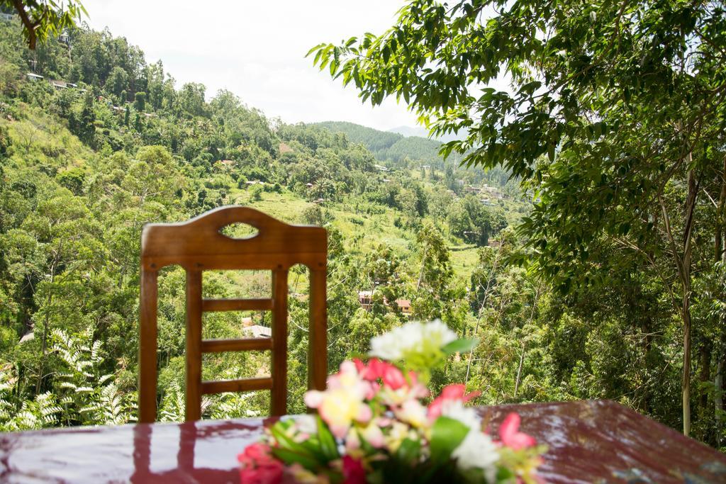 Rose Dale Homestay إيلا المظهر الخارجي الصورة