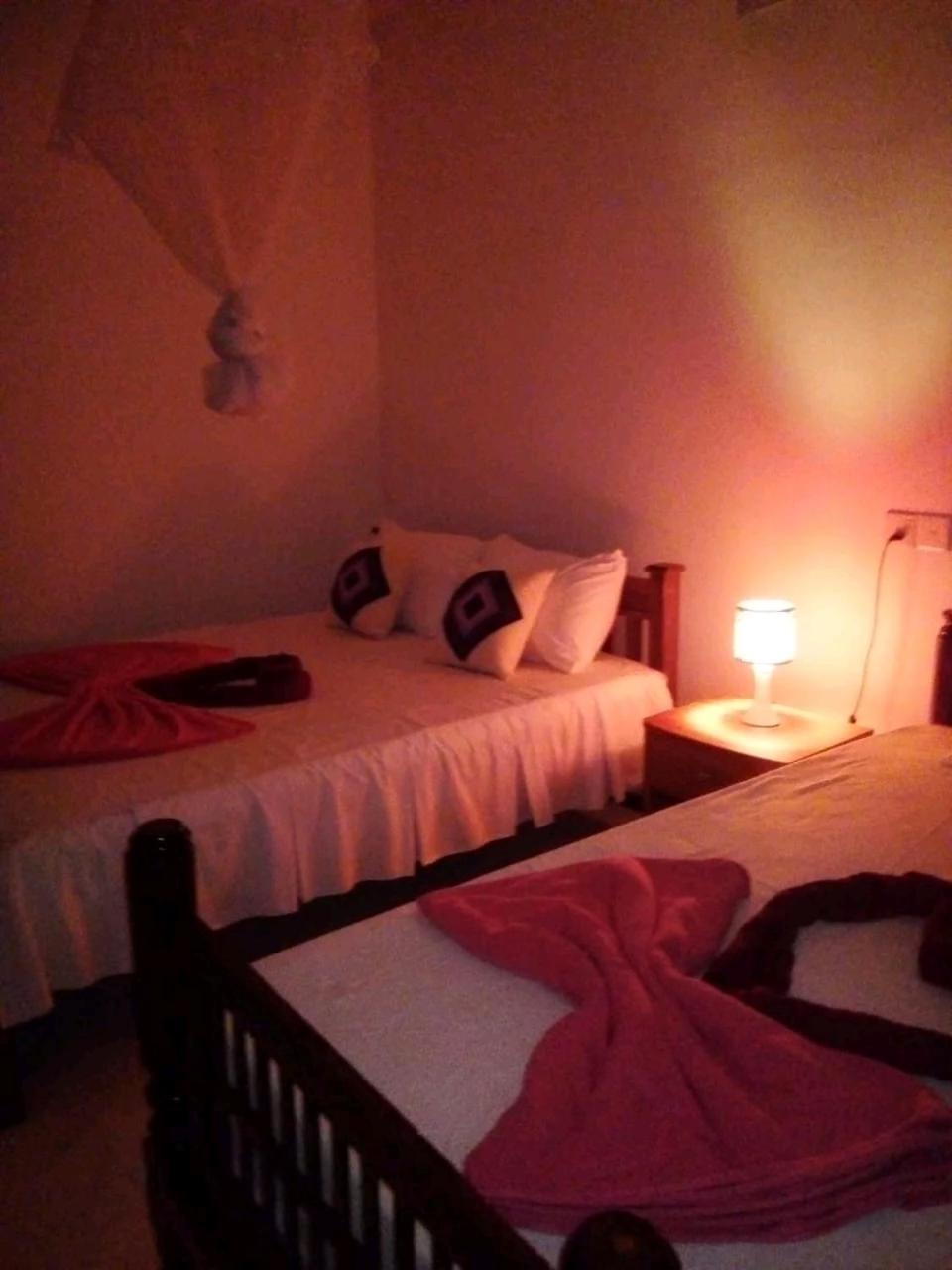 Rose Dale Homestay إيلا المظهر الخارجي الصورة