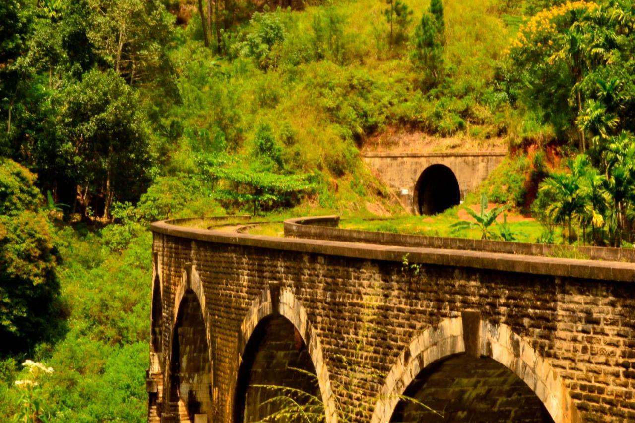 Rose Dale Homestay إيلا المظهر الخارجي الصورة