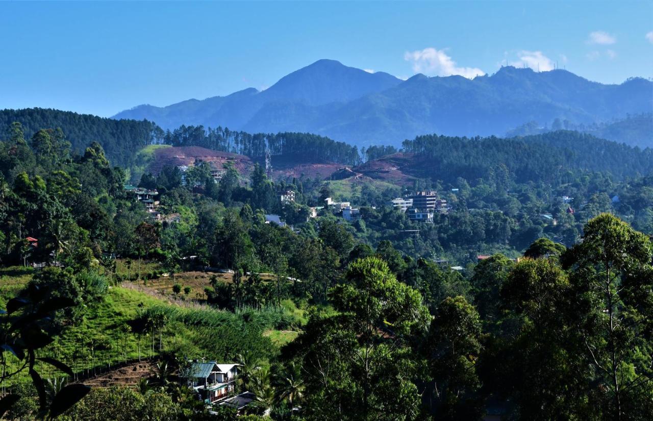 Rose Dale Homestay إيلا المظهر الخارجي الصورة